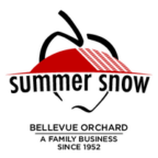summersnow-logo